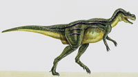 Albertosaurus