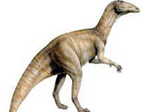 Anatosaurus