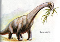 Camarasauro