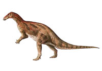 Camptosauro