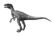 Dromeosauro