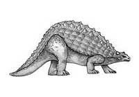 Nodosauro