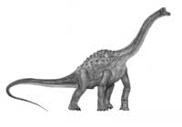 Pelorosauro