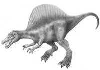 Spinosauro