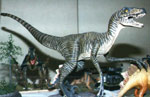 Modellino di Velociraptor